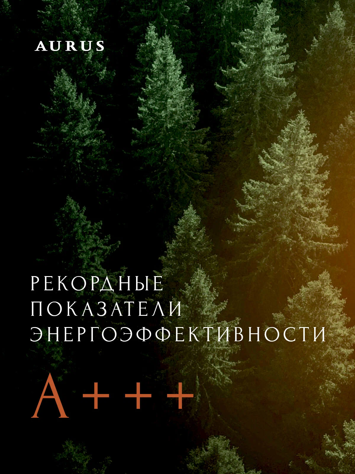 Премиум сплит-система инверторного типа AURUS D DC ADI-09HN8/GOLD комплект — изображение 4