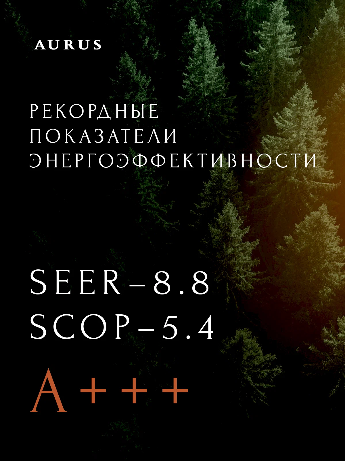 Премиум сплит-система инверторного типа AURUS D DC ADI-09HN8/BLACK комплект — изображение 4